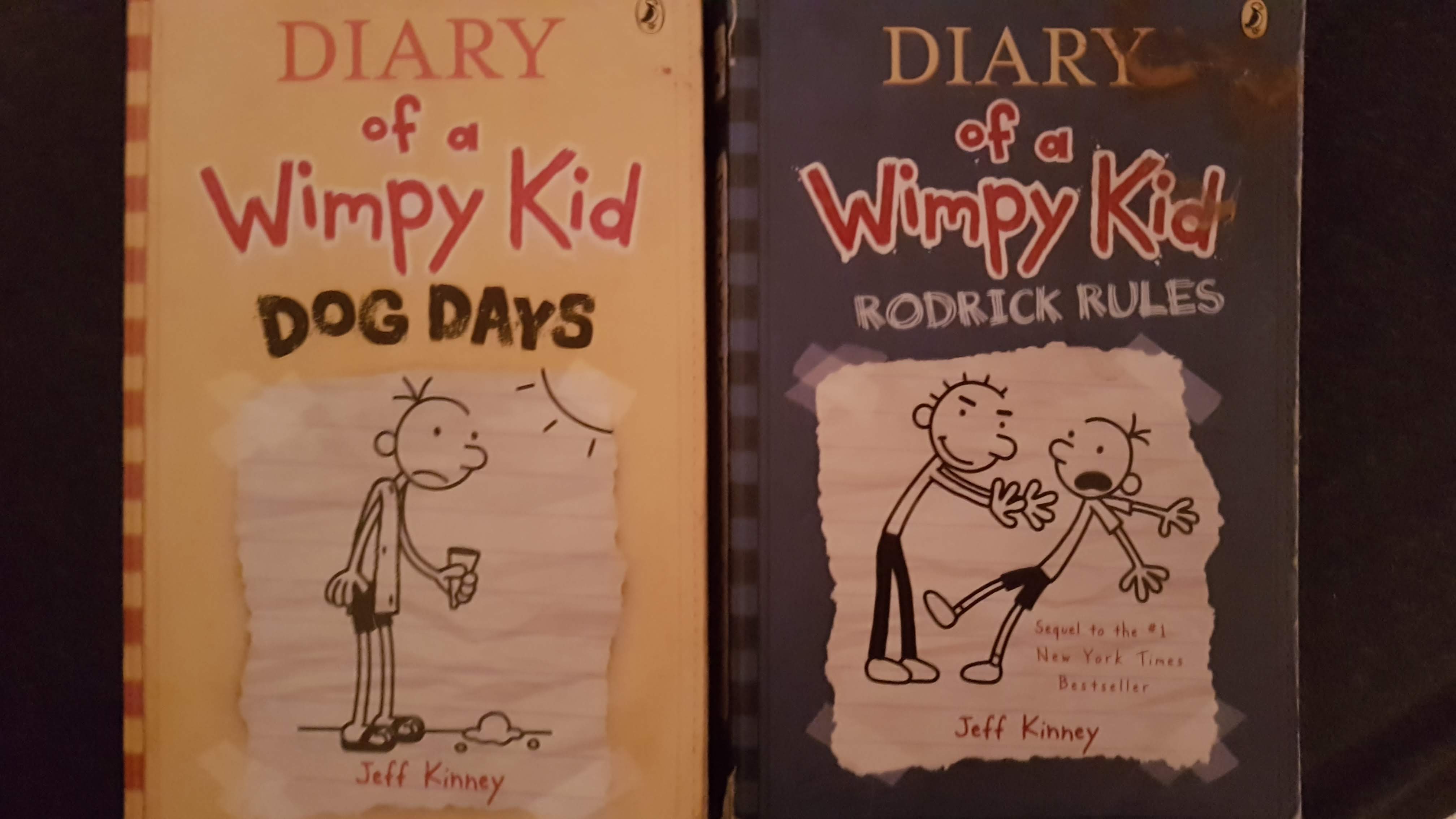 Dang I Have A Lot Of Books Diary Of A Wimpy Kid Series A